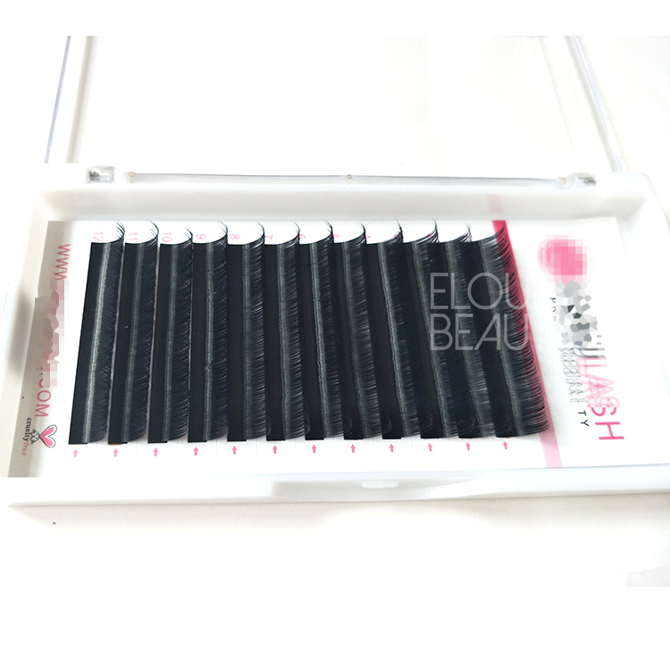 New design OEM brand camellia eyelash exensions beauty supplies EL32